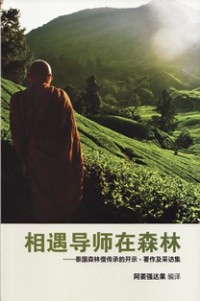Image of 相遇导师在森林 ： 泰国森林僧传承的开示、著作及采访集