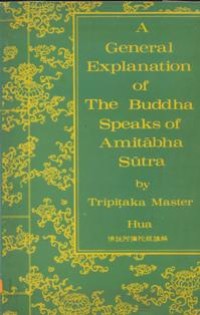 Image of The Buddha Speaks of Amitabha Sutra : A General Explanation