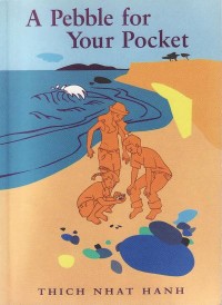 Image of A Pebble for Your Pocket