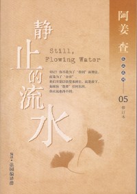 Image of 静止的流水——修订本