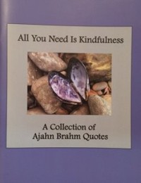 Image of All You Need is Kindfulness