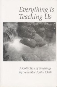 Image of Everything is Teaching Us
