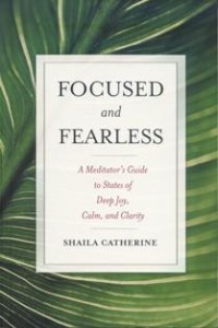Image of Focused and Fearless : A Meditator's Guide to States of Deep Joy, Calm, and Clarity