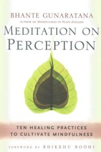Image of Meditation on Perception