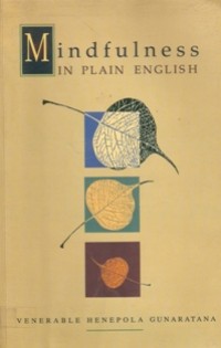 Image of Mindfulness in Plain English