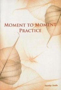 Image of Moment to Moment Practice