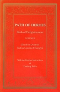Image of Path of Heroes : Birth of Enlightenment ( Volume I )