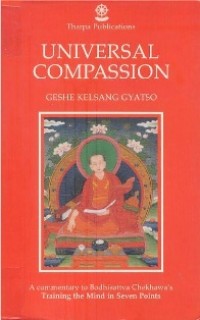 Image of Universal Compassion : A Commentary to Bodhisattva Chekhawa's Training the Mind in Seven Points