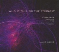 Image of Who is Pulling the Strings? - Equanimity