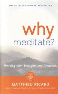Image of Why Meditate? : Working with Thoughts and Emotions