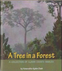 Image of A Tree in a Forest : A Collection of Ajahn Chah's Similes