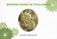 Image of Wisdom Born of Stillness