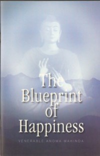 Image of The Blueprint of Happiness