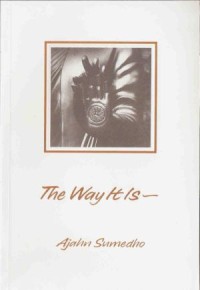 Image of The Way It Is