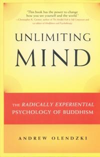 Image of Unlimiting Mind : The Radically Experiential Psychology of Buddhism