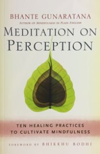 Image of Meditation on Perception : Ten Healing Practices to Cultivate Mindfulness