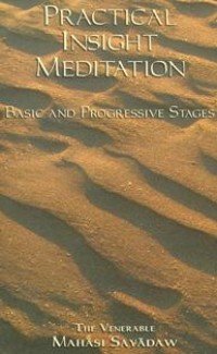 Image of Practical Insight Meditation :  Basic and Progressive Stages