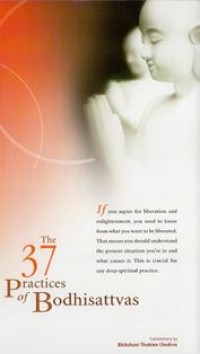 Image of The 37 Practices of Bodhisattva
