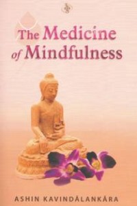 Image of The medicine of Mindfulness