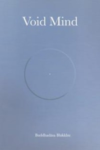 Image of Void Mind
