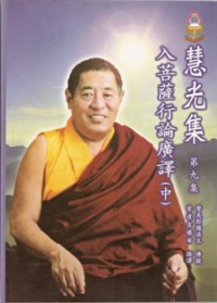 Image of 慧光集 （ 第九集 ； 入菩萨行论广译 [ 中 ] ）