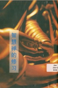 Image of 智慧禅的修习